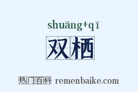 双栖是什么意思的图片